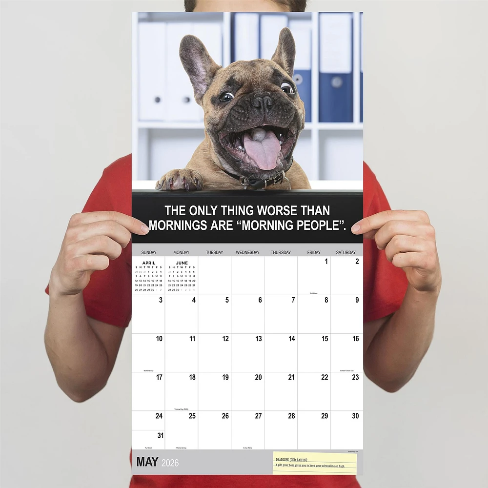 Desk Dogs 2026 Wall Calendar