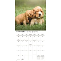 Puppy Love 2026 Wall Calendar
