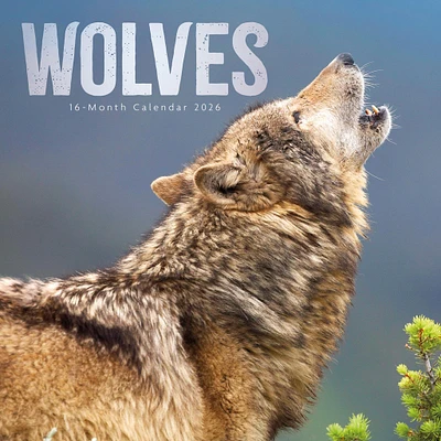 Wolves 2026 Wall Calendar