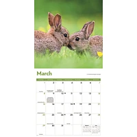 Rabbits 2026 Wall Calendar