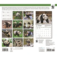 World Wildlife Fund Giant Pandas  2026 Wall Calendar