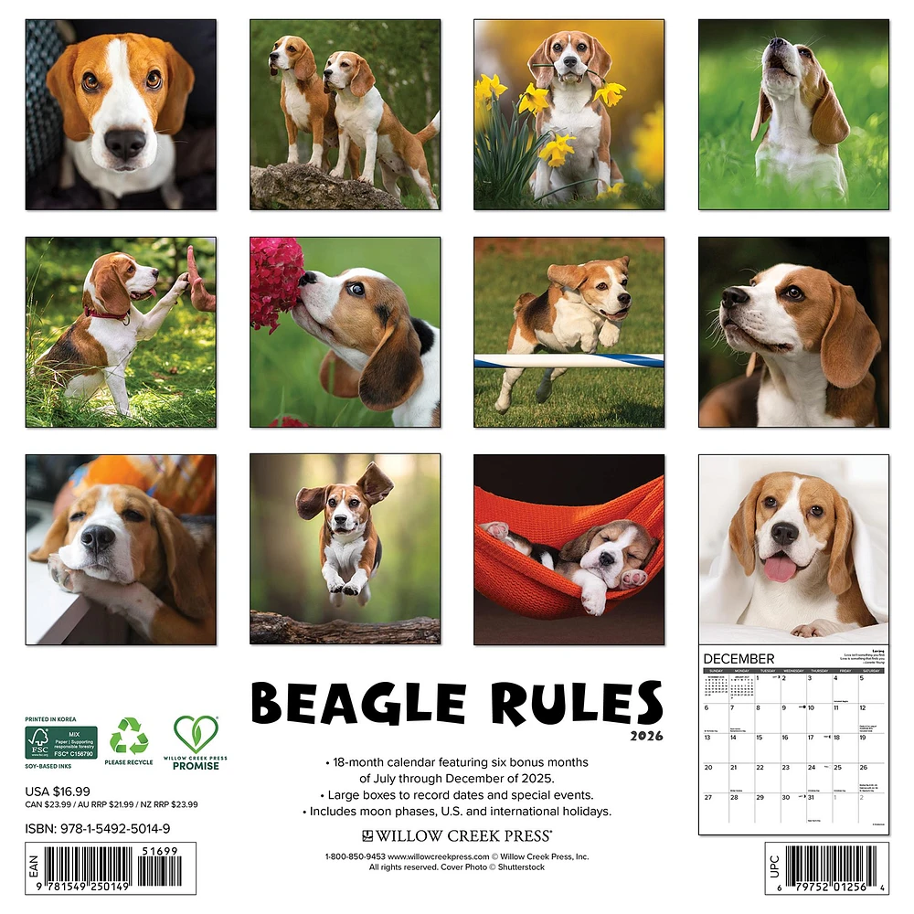 Beagle Rules 2026 Wall Calendar - Online Exclusive
