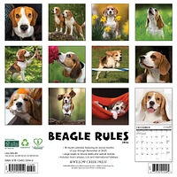 Beagle Rules 2026 Wall Calendar - Online Exclusive