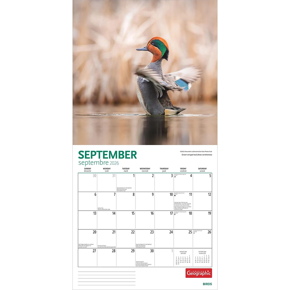 Canadian Geographic Birds 2026 Wall Calendar - Online Exclusive