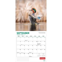 Canadian Geographic Birds 2026 Wall Calendar - Online Exclusive