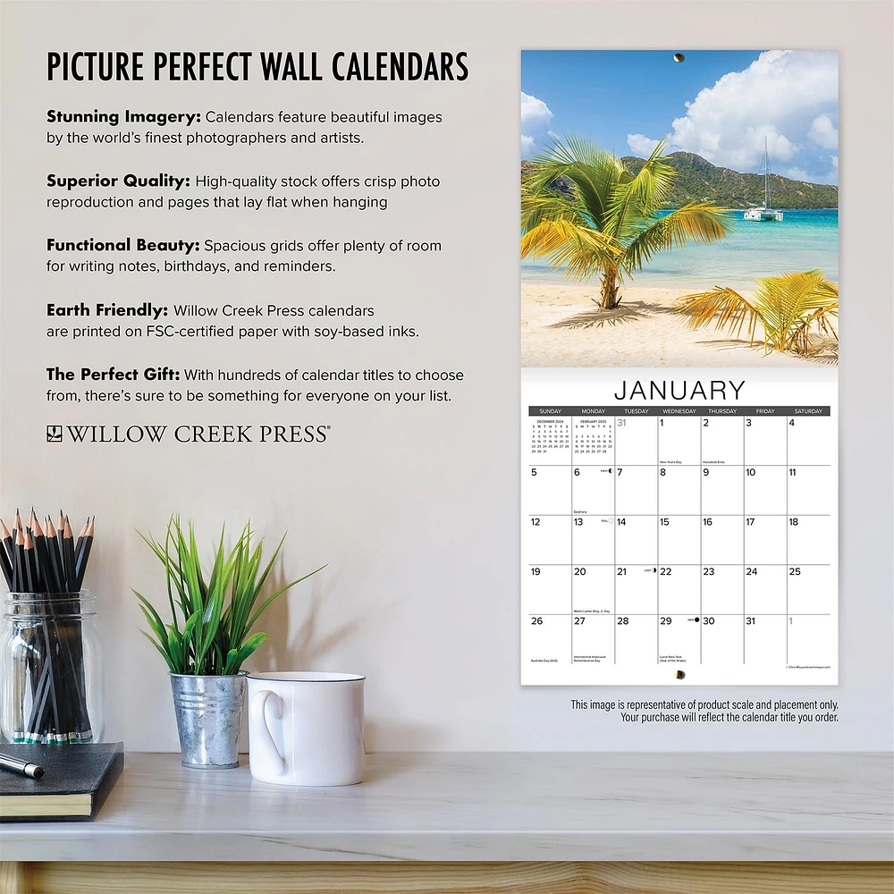 Bad Dad Jokes Wall 2025 Calendar