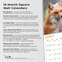 Canadian Geographic Foxes 2026 Wall Calendar - Online Exclusive