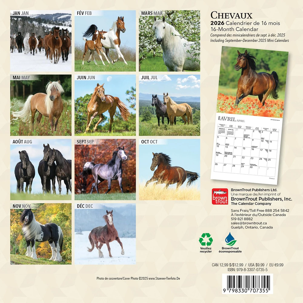Chevaux 2026 Mini Calendar (French)