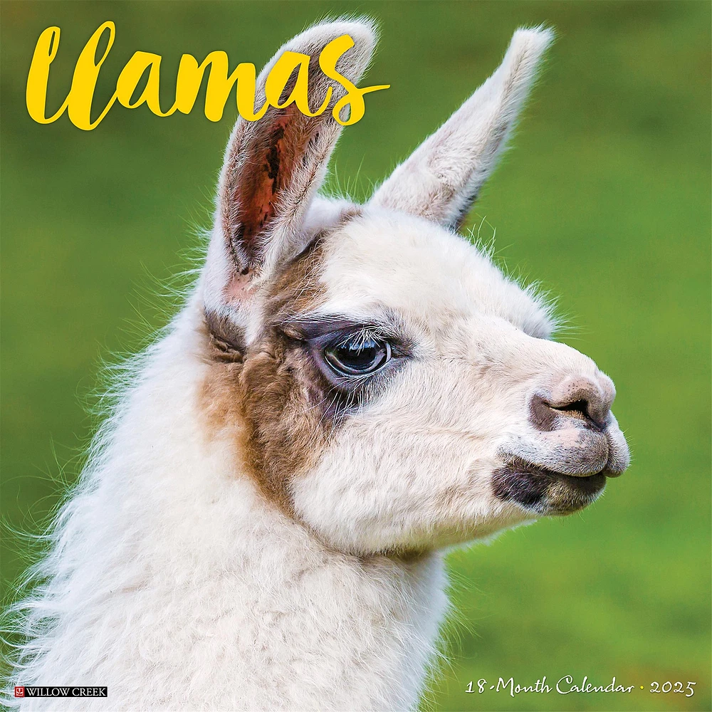 Llamas Wall 2025 Calendar