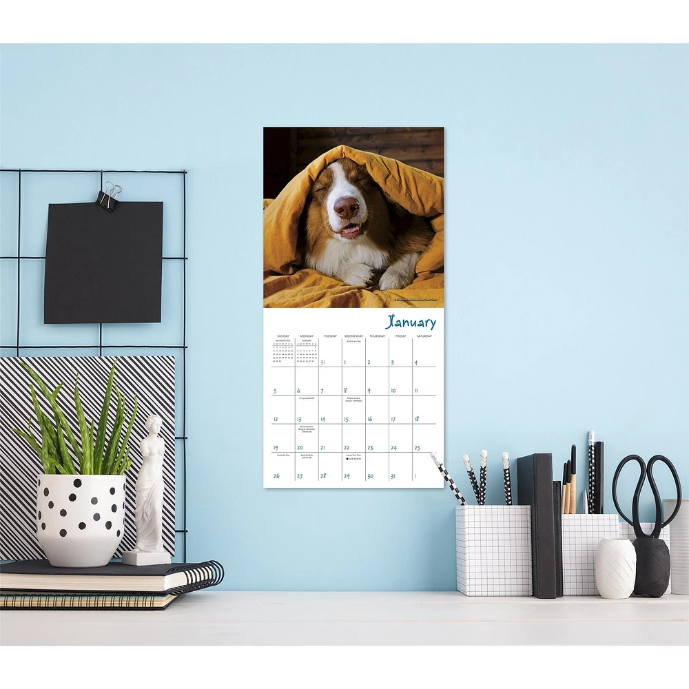 Pooped Puppies Mini 2025 Calendar