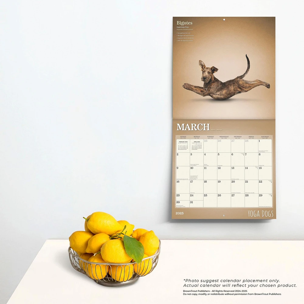 Yoga Dogs Wall 2025 Calendar