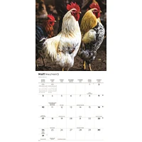 Chickens 2026 Wall Calendar