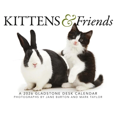 Kittens And Friends Box  2026 Calendar