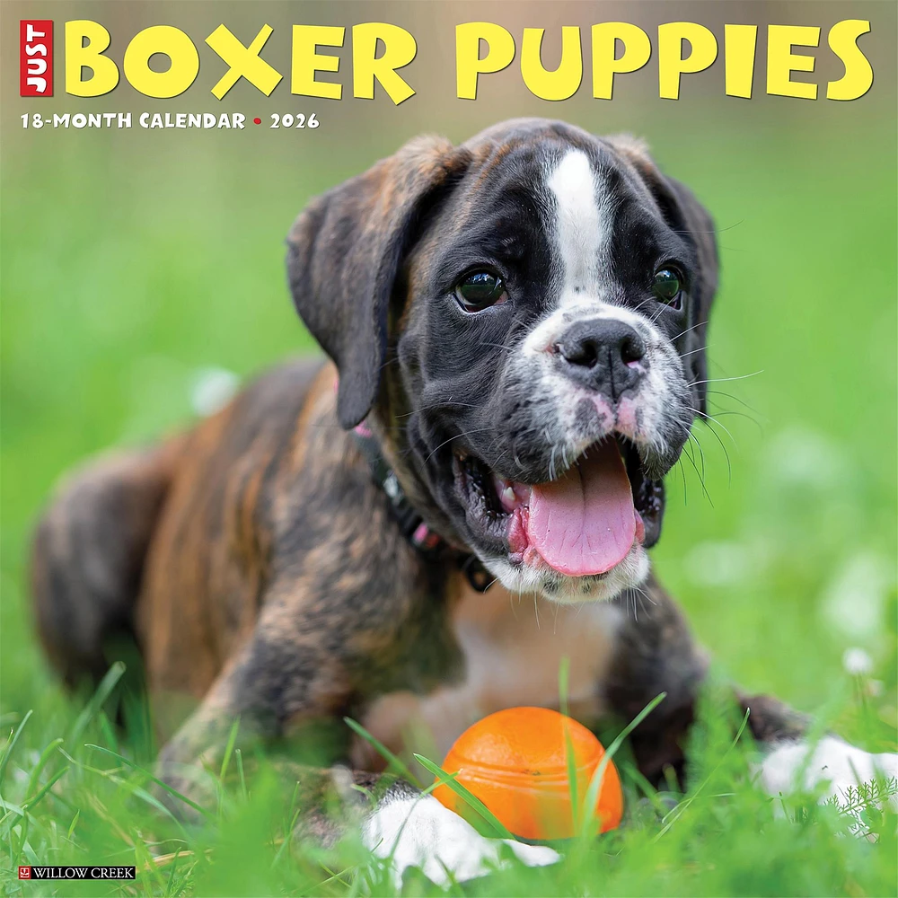 Just Boxer Puppies 2026 Wall Calendar
