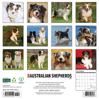 Just Australian Shepherds Wall 2025 Calendar