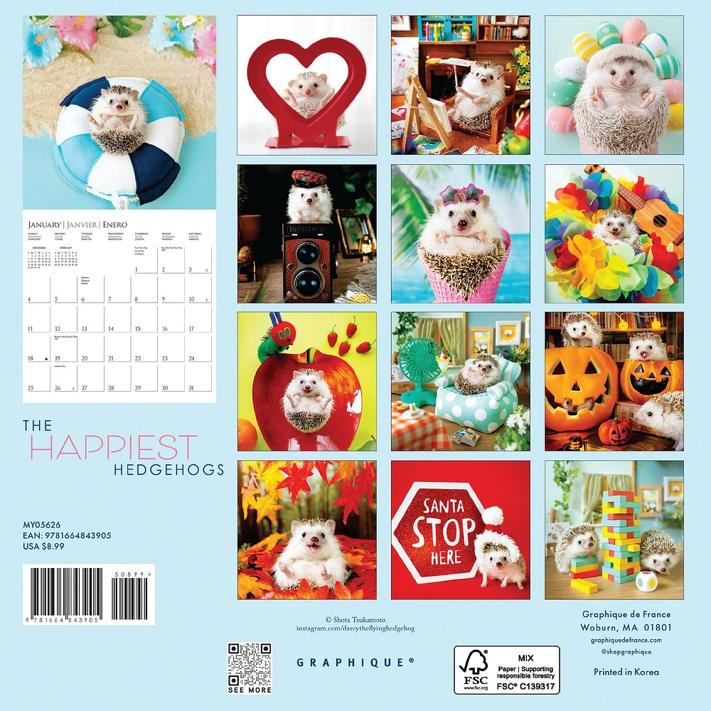 Happiest Hedgehogs 2026 Mini Calendar