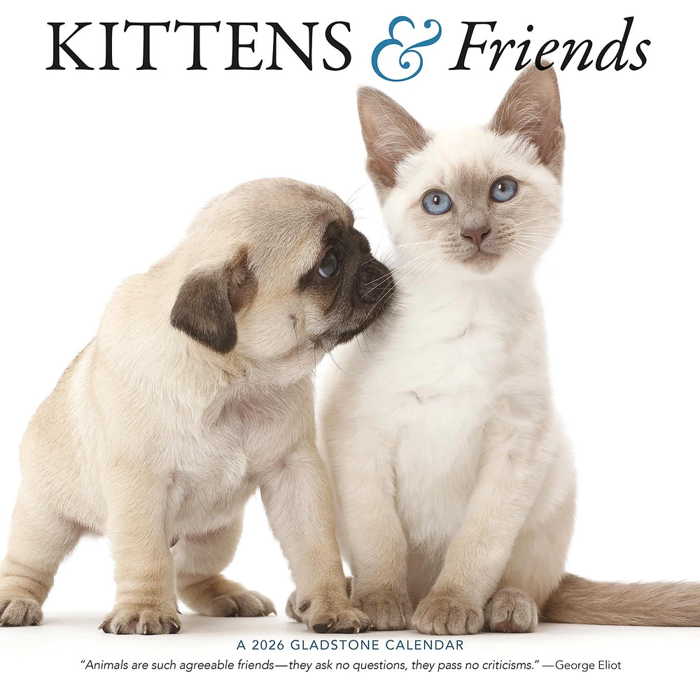 Kittens And Friends Wall 2026 Calendar