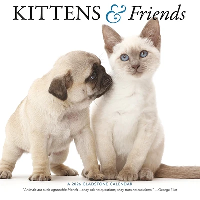 Kittens And Friends Wall  2026 Calendar