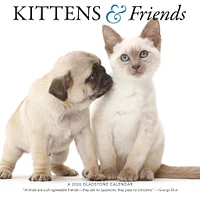 Kittens And Friends Wall  2026 Calendar