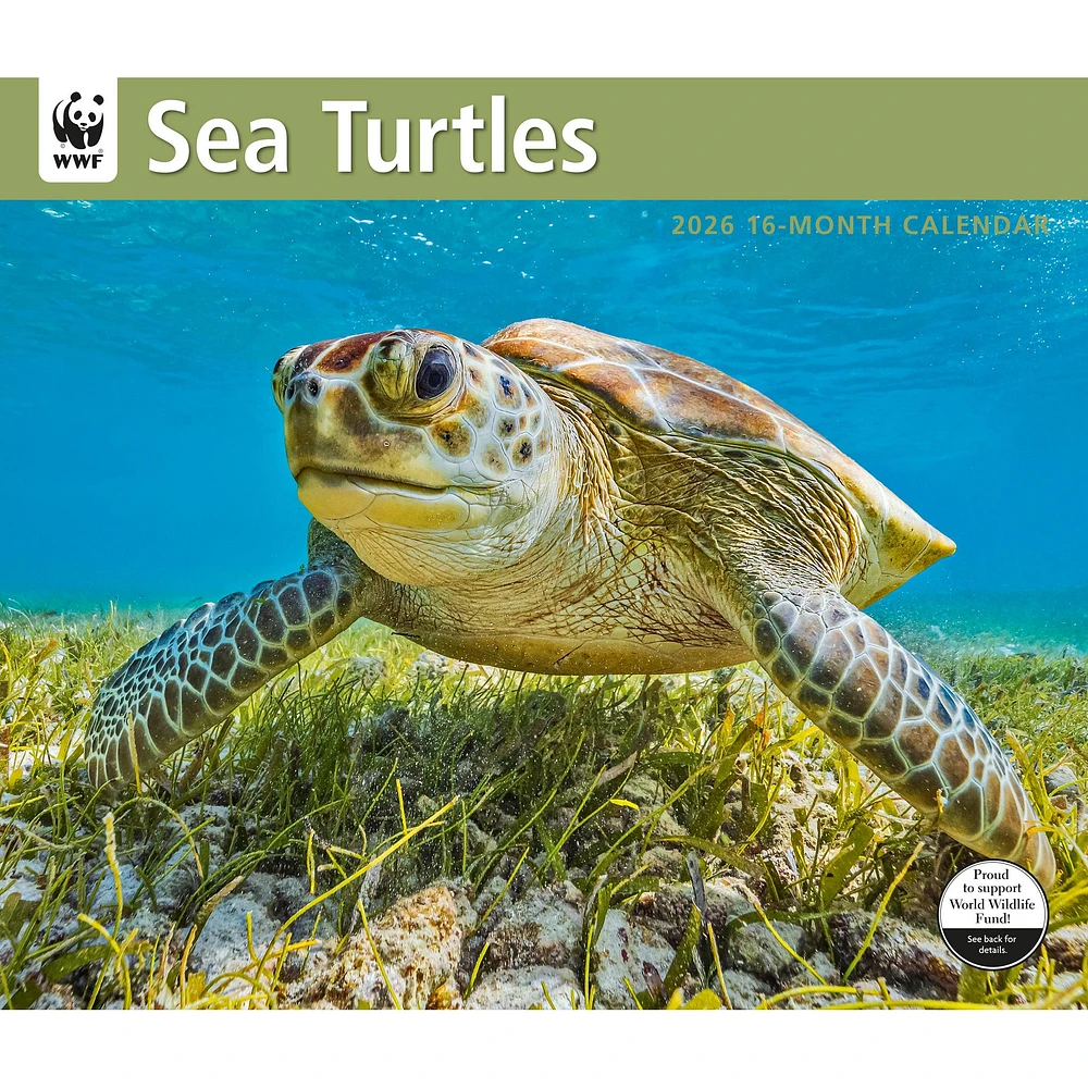 World Wildlife Fund Sea Turtles 2026 Wall Calendar