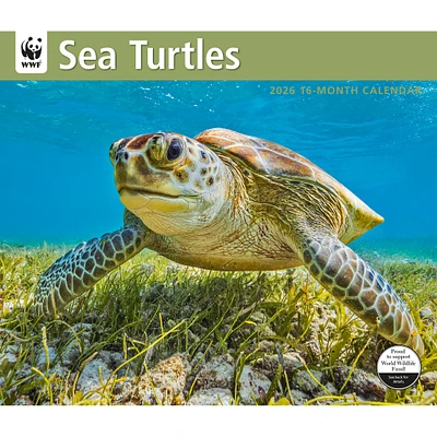 World Wildlife Fund Sea Turtles 2026 Wall Calendar