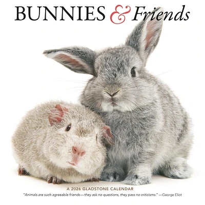 Bunnies And Friends 2026 Wall Calendar