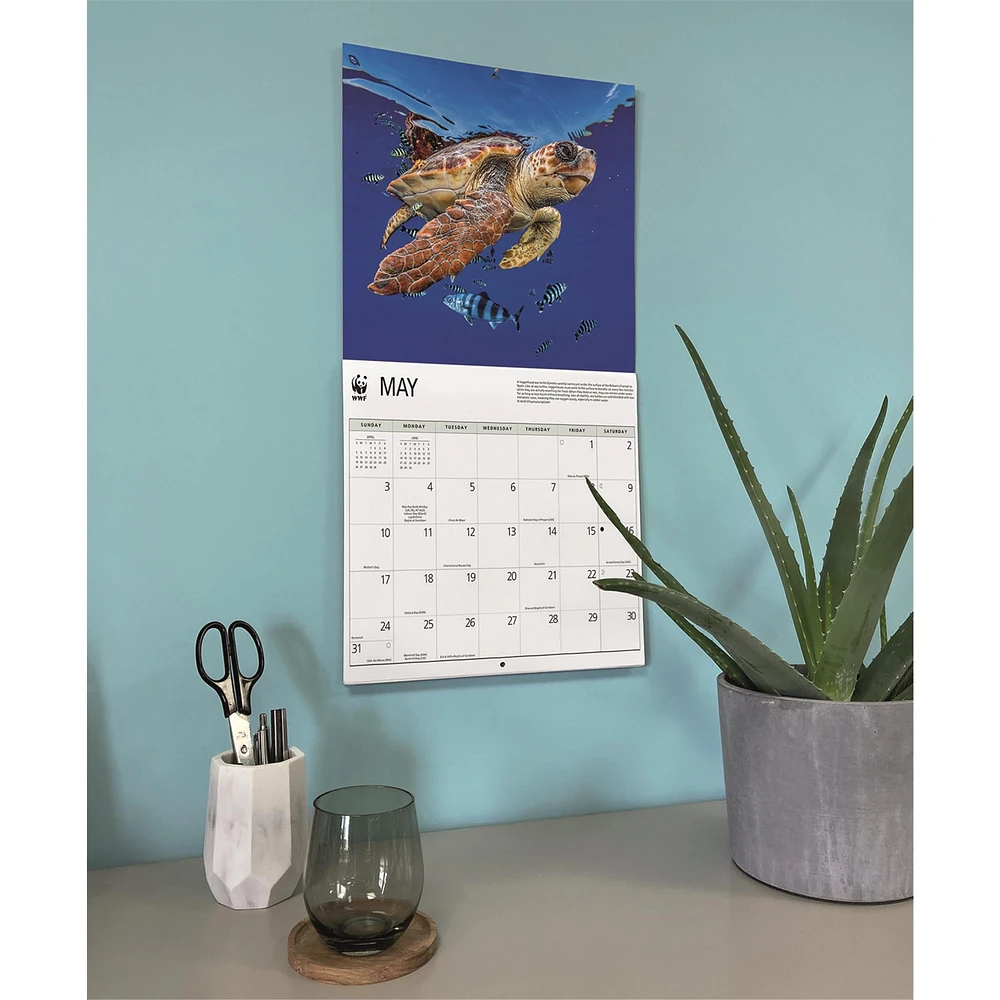World Wildlife Fund Sea Turtles 2026 Wall Calendar