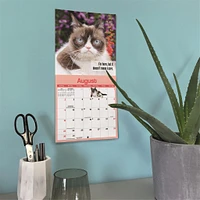 Grumpy Cat 2026 Mini Calendar