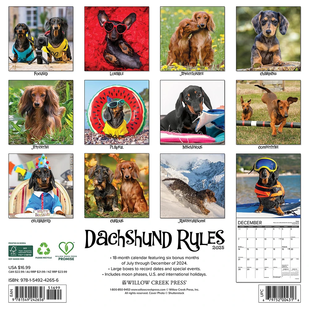 Dachshund Rules Wall 2025 Calendar