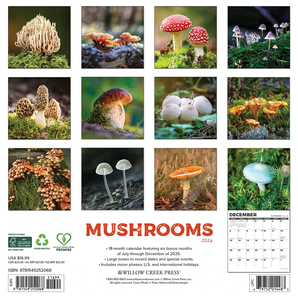Mushroom The Art Of The 2026 Wall Calendar - Online Exclusive
