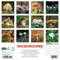 Mushroom The Art Of The 2026 Wall Calendar - Online Exclusive