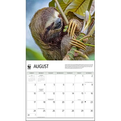 Sloths World Wildlife Fund Wall 2025 Calendar