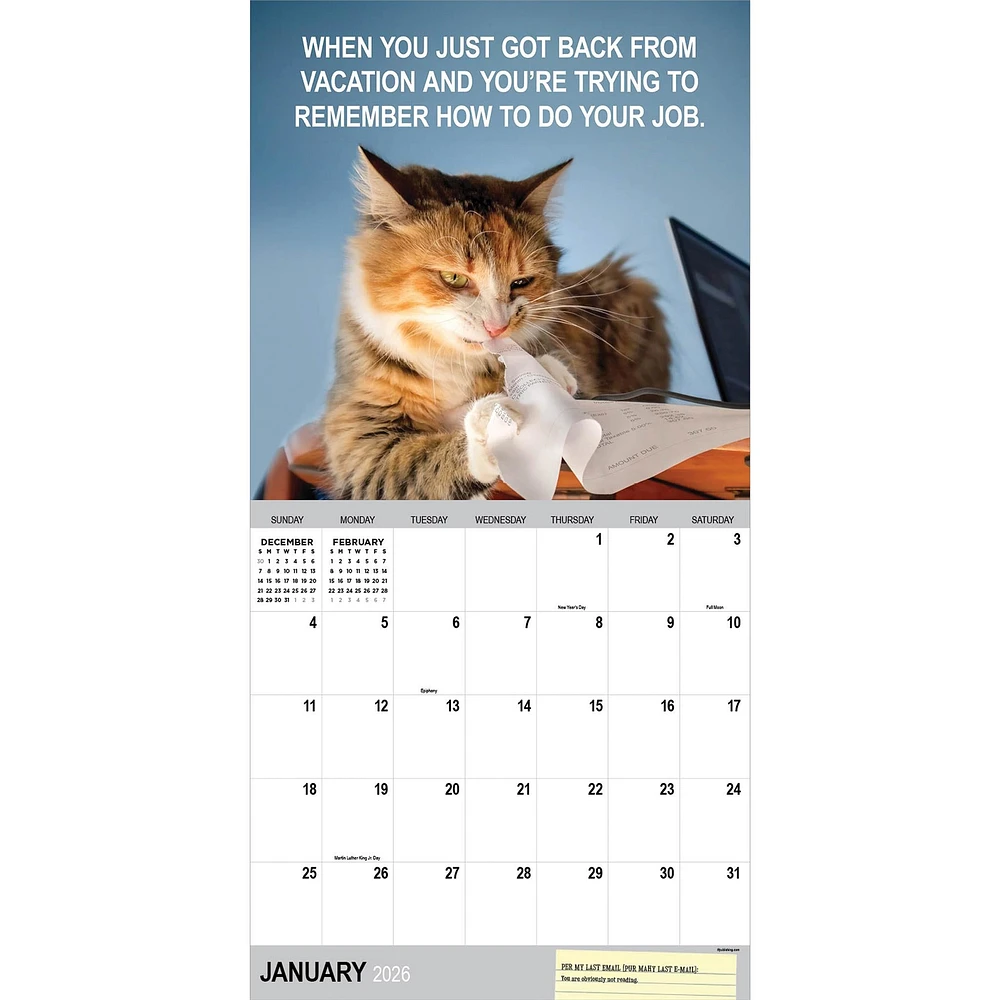 Corporate Cats 2026 Wall Calendar