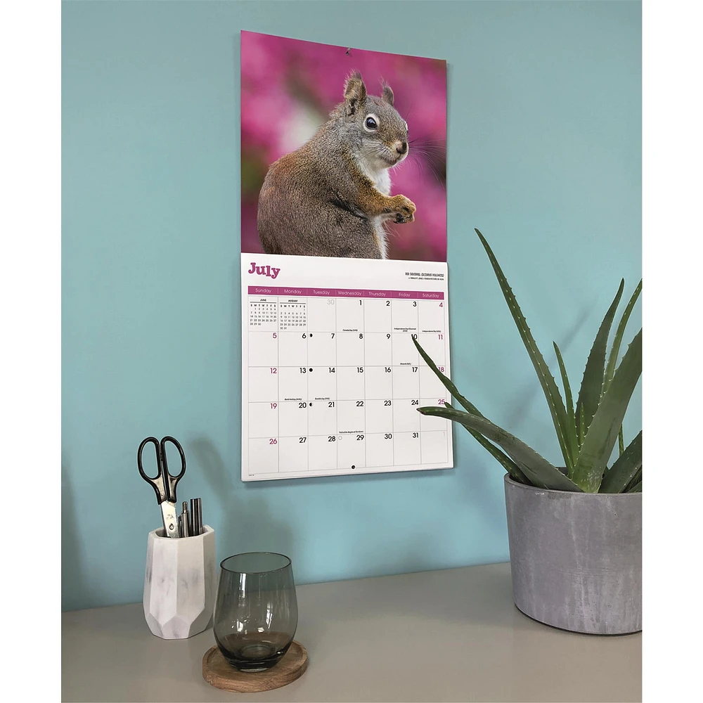 Squirrels 2026 Wall Calendar