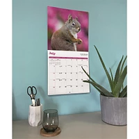 Squirrels 2026 Wall Calendar