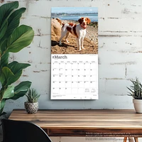 Brittanys 2026 Wall Calendar - Online Exclusive