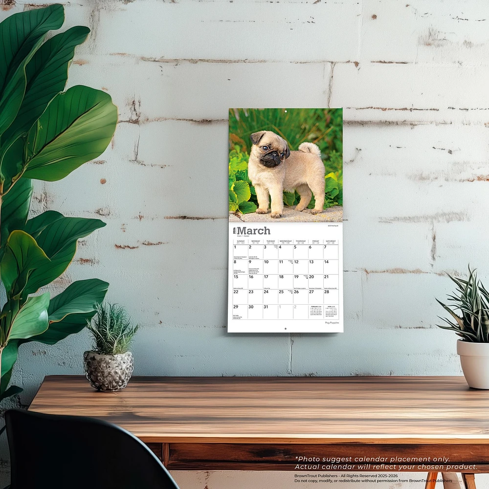 Pug Puppies 2026 Mini Calendar