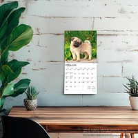 Pug Puppies 2026 Mini Calendar