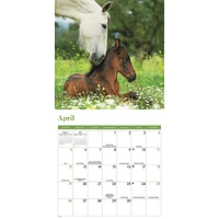 Horses 2026 Mini Calendar