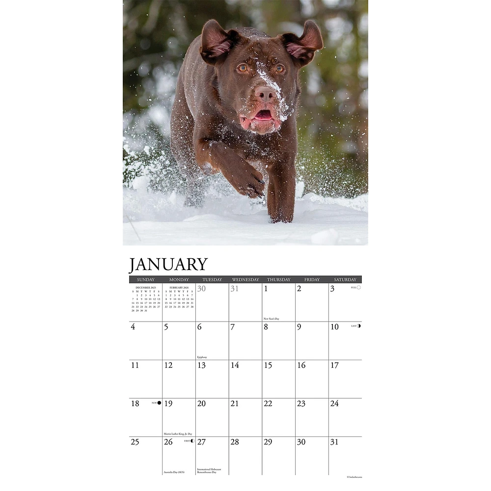 Just Labs 2026 Wall Calendar