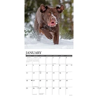 Just Labs 2026 Wall Calendar
