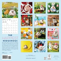 Happiest Hedgehogs 2026 Wall Calendar - Online Exclusive