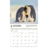 World Wildlife Fund Penguins 2026 Wall Calendar