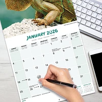 Lizards 2026 Wall Calendar
