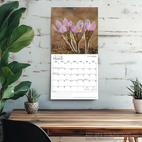 Wildflowers Of Canada 2026 Wall Calendar