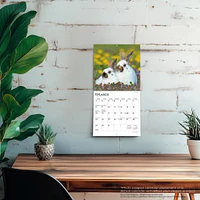Honey Bunny 2026 Mini Calendar