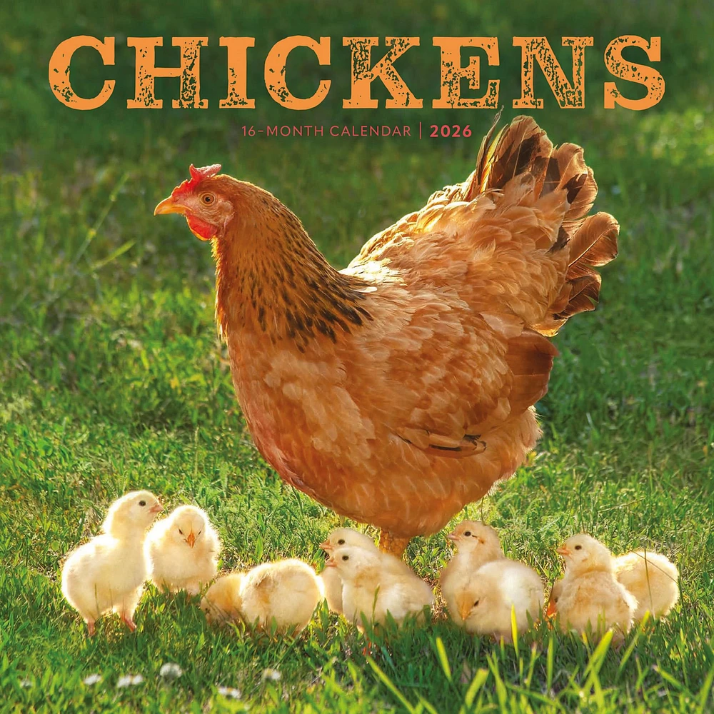 Chickens 2026 Wall Calendar