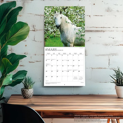 Chevaux 2026 Wall Calendar (French)