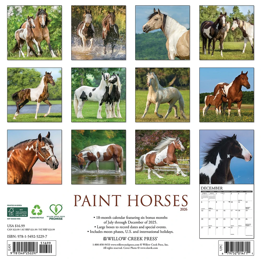 Paint Horses 2026 Wall Calendar