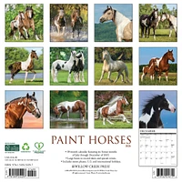 Paint Horses 2026 Wall Calendar